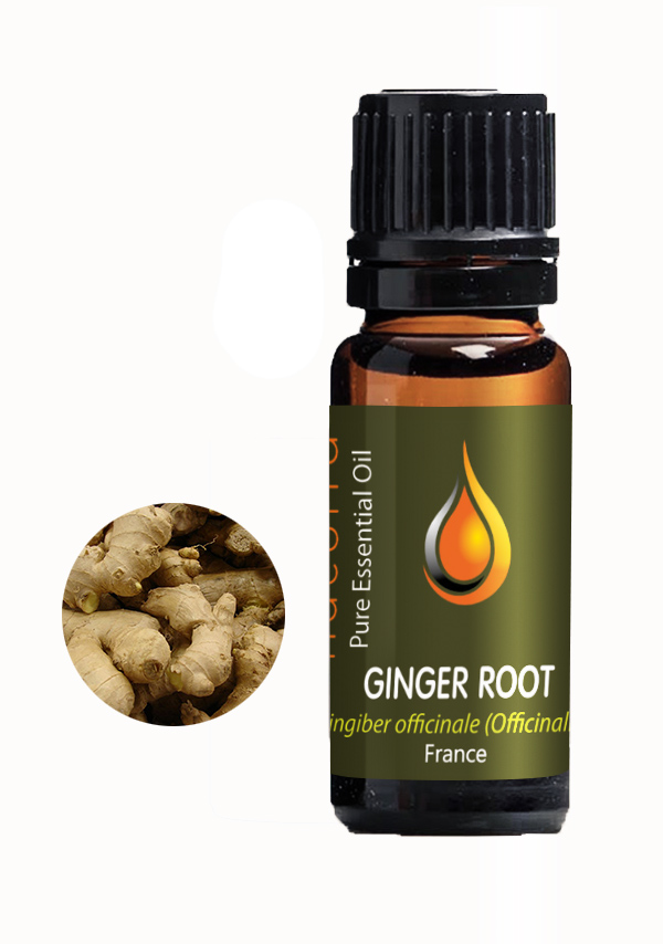 Ginger Root Essential Oil (Zingiber Officinalis)
