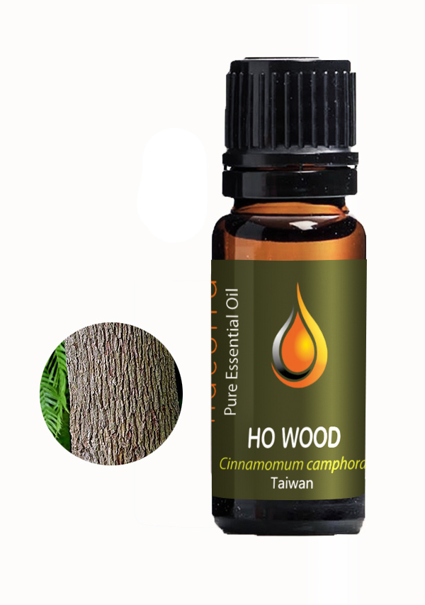 Ho Wood (Cinnamomum camphora)
