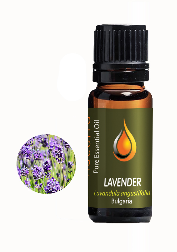 Lavender Bulgaria (Lavendula angustifolia) Essential Oil